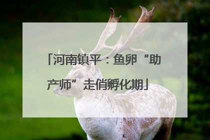 河南镇平：鱼卵“助产师”走俏孵化期