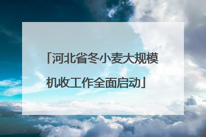 河北省冬小麦大规模机收工作全面启动