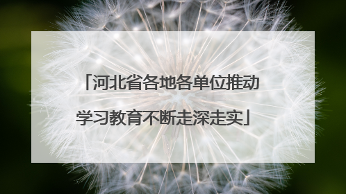 河北省各地各单位推动学习教育不断走深走实