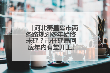 河北秦皇岛市两条路规划多年始终未建？市住建局回应年内有望开工