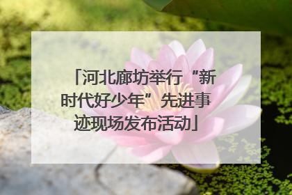 河北廊坊举行“新时代好少年”先进事迹现场发布活动