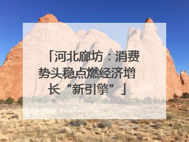 河北廊坊：消费势头稳点燃经济增长“新引擎”