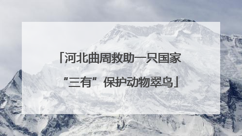 河北曲周救助一只国家“三有”保护动物翠鸟
