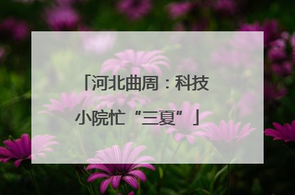 河北曲周：科技小院忙“三夏”