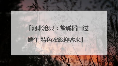 河北沧县：盐碱稻田过端午 特色农旅迎客来