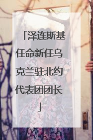 泽连斯基任命新任乌克兰驻北约代表团团长
