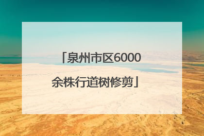 泉州市区6000余株行道树修剪