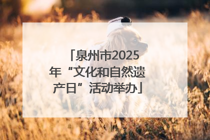 泉州市2025年“文化和自然遗产日”活动举办