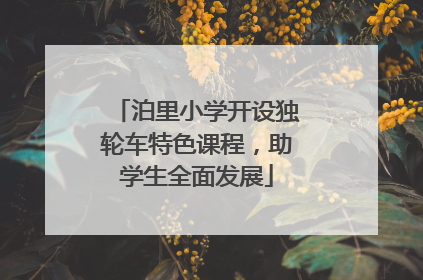 泊里小学开设独轮车特色课程，助学生全面发展