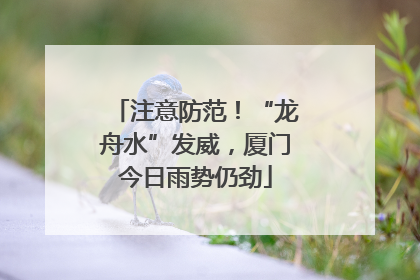 注意防范！“龙舟水”发威，厦门今日雨势仍劲