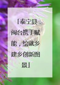 泰宁县：闽台携手赋能，绘就乡建乡创新图景