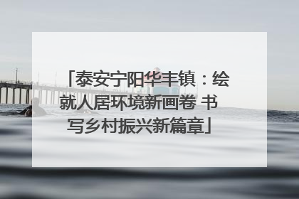 泰安宁阳华丰镇：绘就人居环境新画卷 书写乡村振兴新篇章
