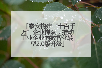 泰安构建“十百千万”企业梯队，推动工业企业向数智化转型2.0版升级