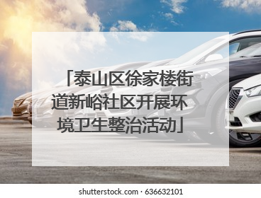 泰山区徐家楼街道新峪社区开展环境卫生整治活动