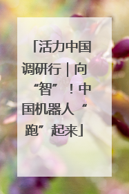 活力中国调研行｜向“智”！中国机器人“跑”起来