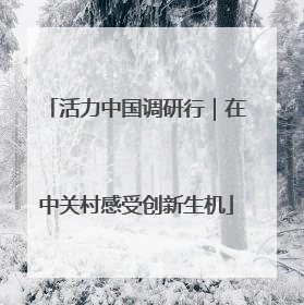 活力中国调研行｜在中关村感受创新生机