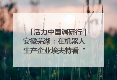 活力中国调研行｜安徽芜湖：在机器人生产企业埃夫特看“中国智造”