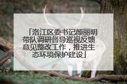 洛江区委书记颜丽明带队调研督导巡视反馈意见整改工作，推进生态环境保护建设