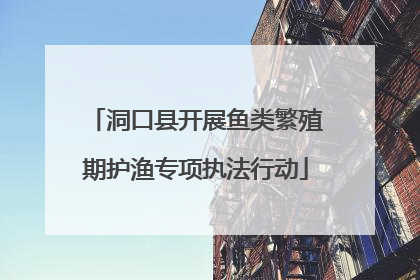 洞口县开展鱼类繁殖期护渔专项执法行动