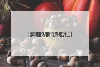 洞庭湖畔造船忙