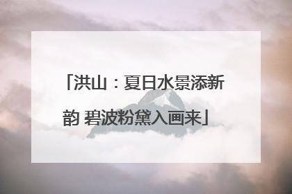 洪山：夏日水景添新韵 碧波粉黛入画来