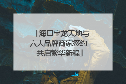 海口宝龙天地与六大品牌商家签约 共启繁华新程