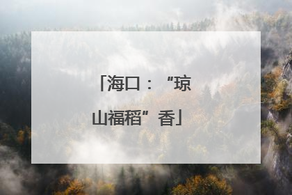 海口：“琼山福稻”香