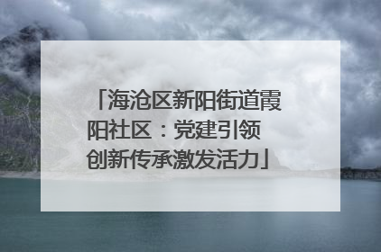 海沧区新阳街道霞阳社区：党建引领 创新传承激发活力