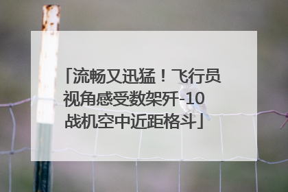 流畅又迅猛！飞行员视角感受数架歼-10战机空中近距格斗
