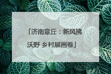 济南章丘：新风拂沃野 乡村展画卷