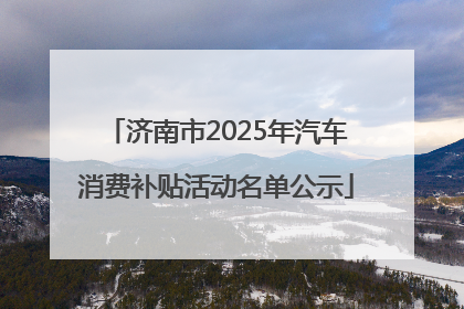 济南市2025年汽车消费补贴活动名单公示