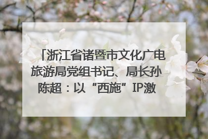 浙江省诸暨市文化广电旅游局党组书记、局长孙陈超：以“西施”IP激活全域旅游 打造县域文旅融合新标杆｜第七届全国县域旅游研究成果发布系列活动