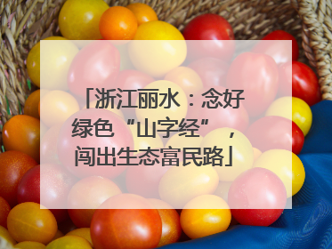 浙江丽水：念好绿色“山字经”，闯出生态富民路