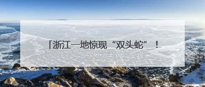 浙江一地惊现“双头蛇”！村民吓懵：还会倒着爬！