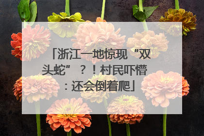 浙江一地惊现“双头蛇”？！村民吓懵：还会倒着爬