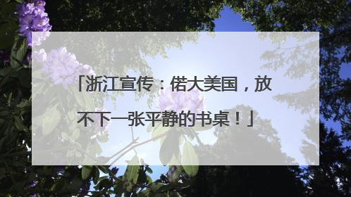 浙江宣传：偌大美国，放不下一张平静的书桌！