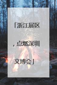 浙江展区，点燃深圳文博会