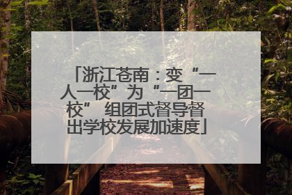 浙江苍南：变“一人一校”为“一团一校” 组团式督导督出学校发展加速度