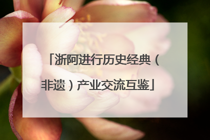 浙阿进行历史经典（非遗）产业交流互鉴