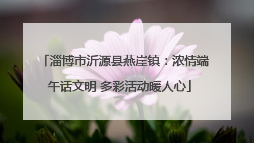 淄博市沂源县燕崖镇：浓情端午话文明 多彩活动暖人心