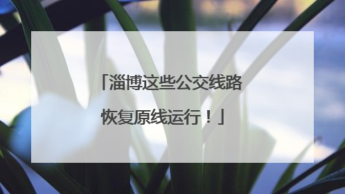 淄博这些公交线路恢复原线运行！