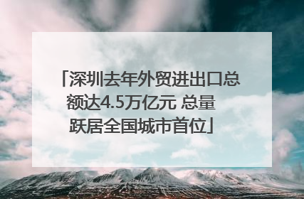 深圳去年外贸进出口总额达4.5万亿元 总量跃居全国城市首位