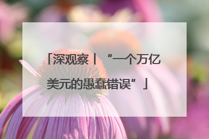 深观察丨“一个万亿美元的愚蠢错误”