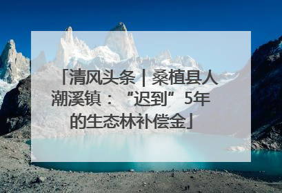 清风头条｜桑植县人潮溪镇：“迟到”5年的生态林补偿金