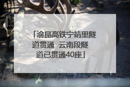 渝昆高铁宁靖里隧道贯通  云南段隧道已贯通40座
