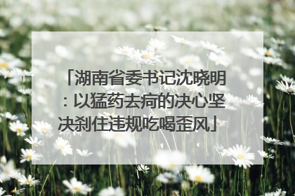 湖南省委书记沈晓明：以猛药去疴的决心坚决刹住违规吃喝歪风