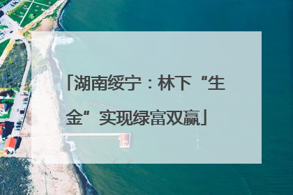 湖南绥宁：林下“生金”实现绿富双赢