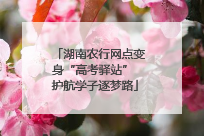 湖南农行网点变身“高考驿站” 护航学子逐梦路