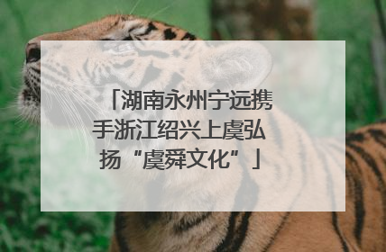 湖南永州宁远携手浙江绍兴上虞弘扬“虞舜文化”