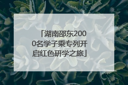 湖南邵东2000名学子乘专列开启红色研学之旅